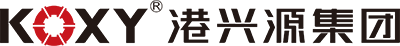 廣東港興源控股集團(tuán)有限公司